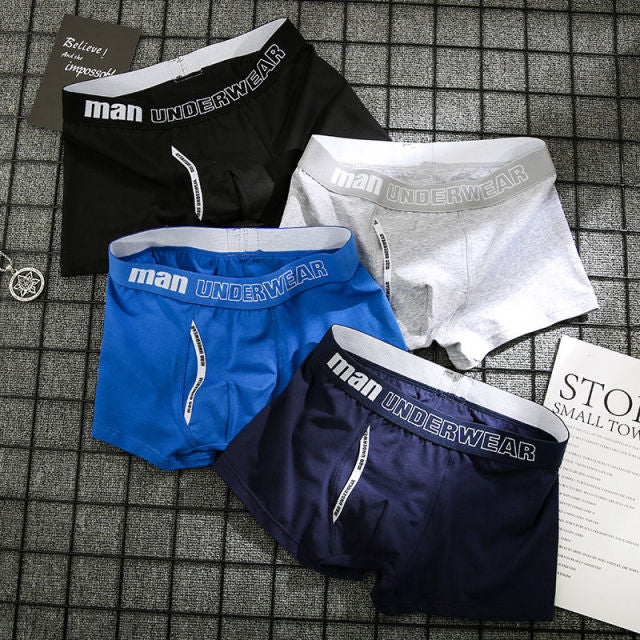 4pcs Male Panties Cotton Men's Underwear Boxers Breathable Man Boxer Solid Underpants Comfortable Brand Shorts men underwear 365